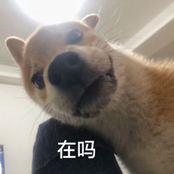 -茶发Salon·烫发染发理发