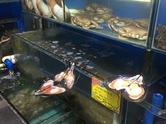 -蚝专家(北滘店)