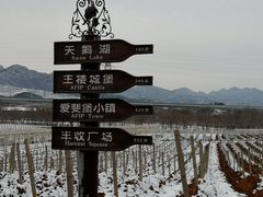 -北京张裕爱斐堡酒庄