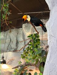 -Zoolung Zoolung动物主题公园(海信广场店)