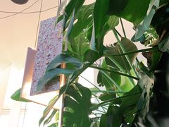 -渔芙南(三里屯店)
