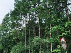 -萨尔浒风景区