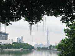 -东山湖公园
