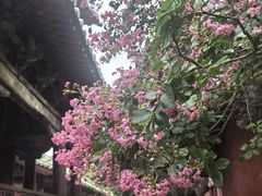 -报恩寺(平武县)