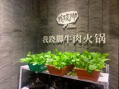 -菌子鲜汤野生菌锅