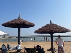 -碧海金沙
