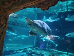 -华夏文旅海洋公园