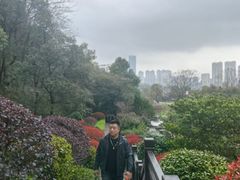 -桃花岭景区