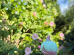 -昆山城市生态森林公园