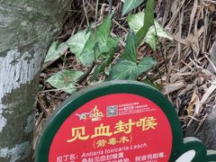 -呀诺达热带雨林