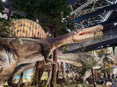 -湖南省地质博物馆