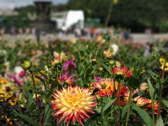 -维格兰雕塑公园