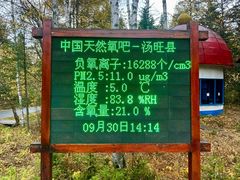 -汤旺河林海奇石景区