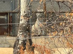 -石家庄市动物园