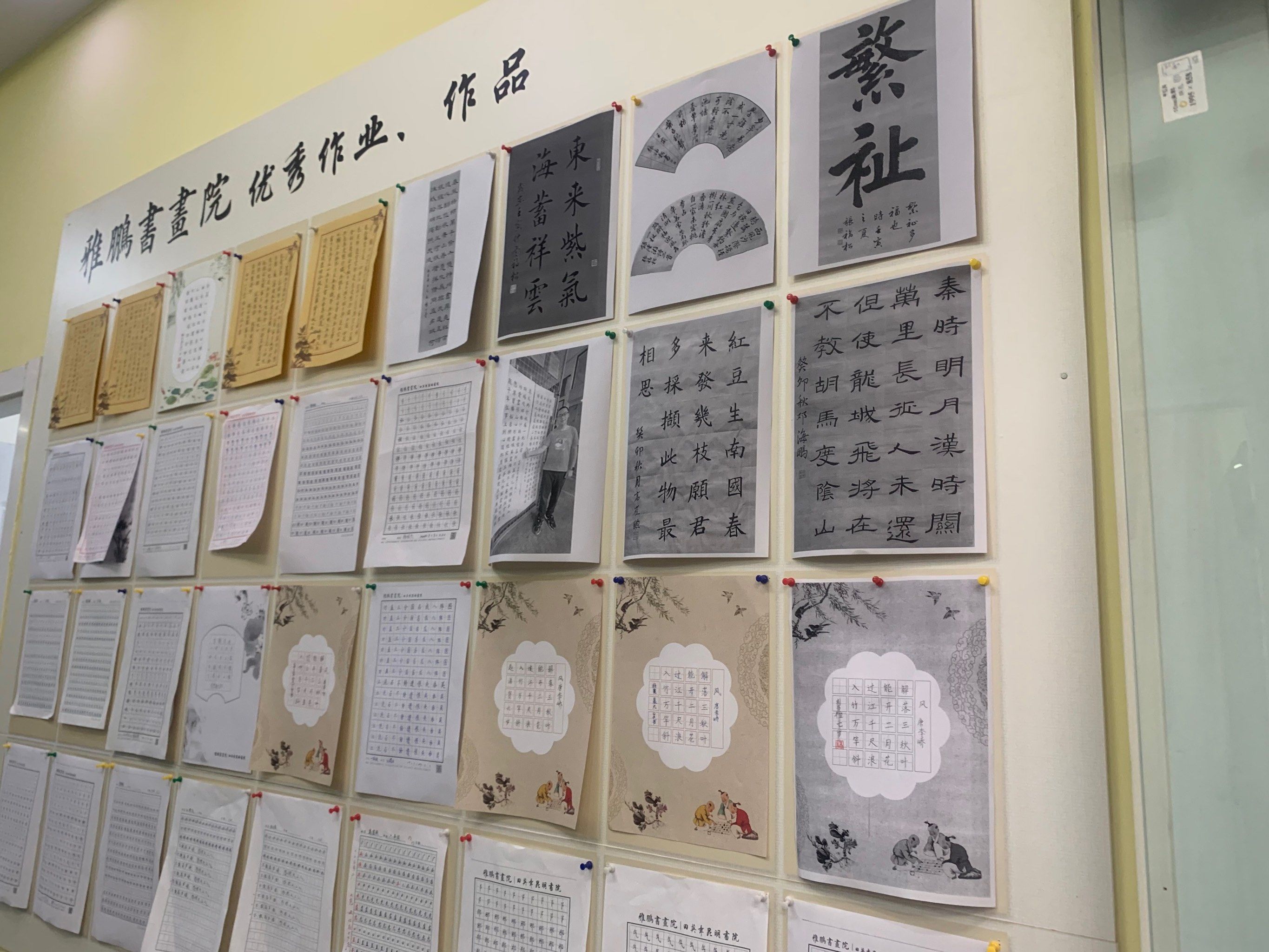 小小书法家的成长路