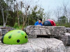 -苏州太湖国家湿地公园