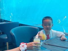 -瑞德姆美人鱼海底演艺主题餐厅(亚龙湾店)