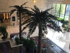 -常州环球恐龙城维景国际大酒店