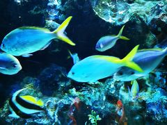 -海合安成都极地海洋公园