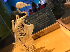 -香港科学馆