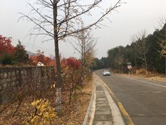 -北京十三陵国家森林公园蟒山景区