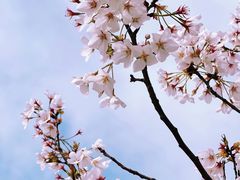 -新虹桥中心花园