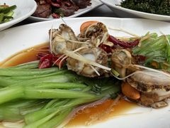 -美达尔烧烤(银川东路店)