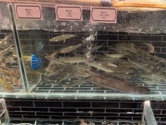 -衢农会·衢州菜·宴请(国际机场店)