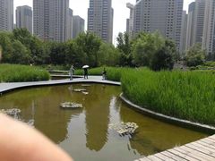 -长白岛森林公园