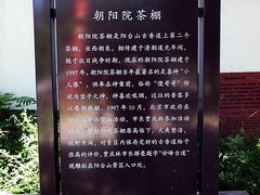 -阳台山自然风景区