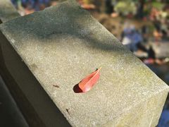 -杭州上天竺法喜讲寺