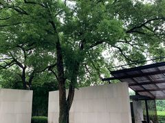 -九里云松·天香餐厅