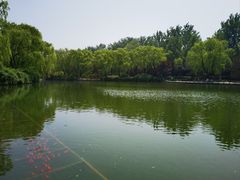 -济南植物园