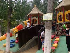 -合肥滨湖国家森林公园