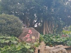 -乌山风景区