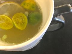 -萌喵宠狗爱心宠咖