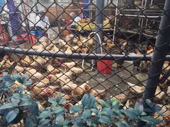 -荔城生鲜盛宴(番禺旗舰店)