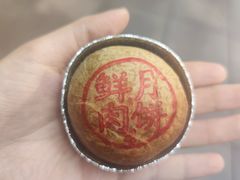 鲜肉月饼-泰康食品(南京东路店)