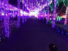 -歌斐颂巧克力小镇