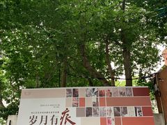 -徐汇艺术馆