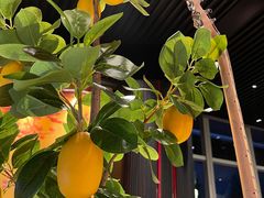 -西安W酒店·WEI全味西餐厅