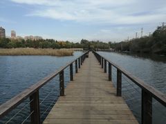 -前关湿地公园