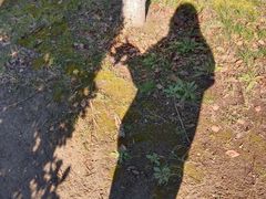 -西山漾湿地公园