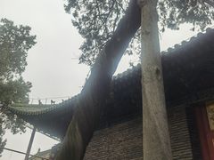 -关林