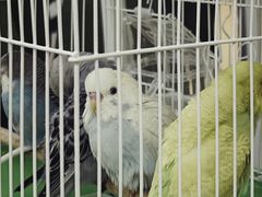 -天虹购物中心(石路店)