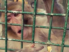-南京金牛湖风景区