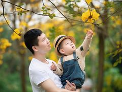 -天适樱花悠乐园