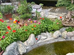 -蘇河湾·新鲁菜·泰山宴(泰山店)
