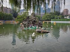 -团结湖公园