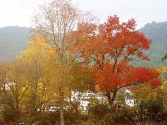 -塔川景区
